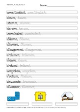 DSS_2S_Bu_um_Nr_01.pdf